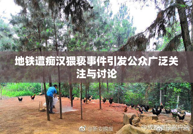 地铁遭痴汉猥亵事件引发公众广泛关注与讨论