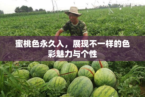 蜜桃色永久入，展现不一样的色彩魅力与个性