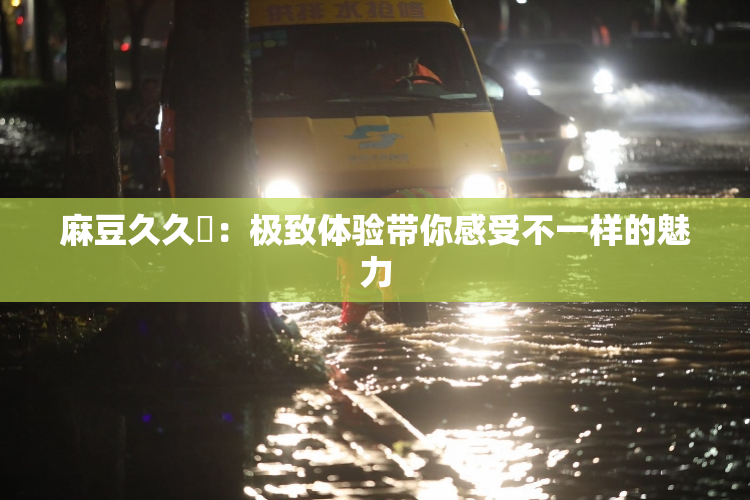 麻豆久久婬：极致体验带你感受不一样的魅力