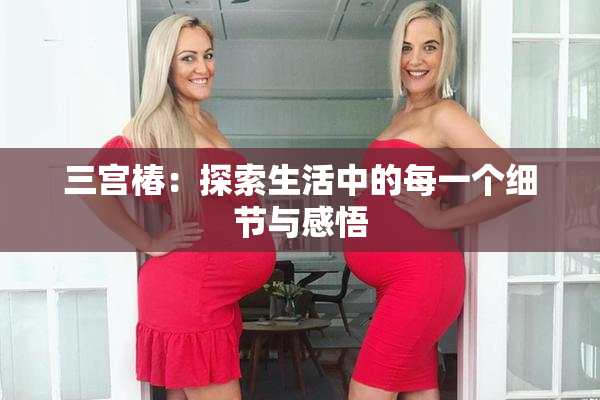 三宫椿：探索生活中的每一个细节与感悟