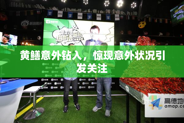 黄鳝意外钻入，惊现意外状况引发关注