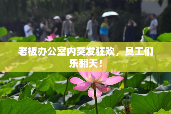 老板办公室内突发狂欢，员工们乐翻天！