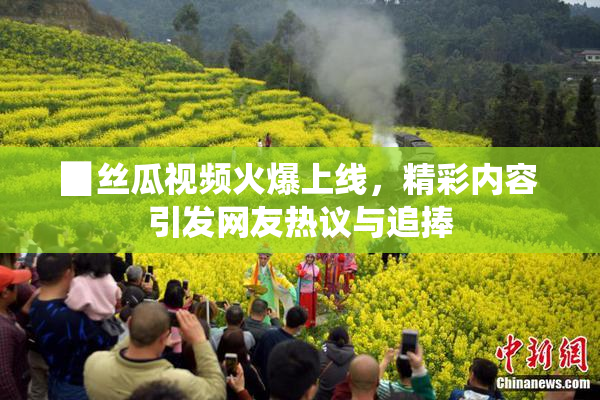 ▉丝瓜视频火爆上线，精彩内容引发网友热议与追捧