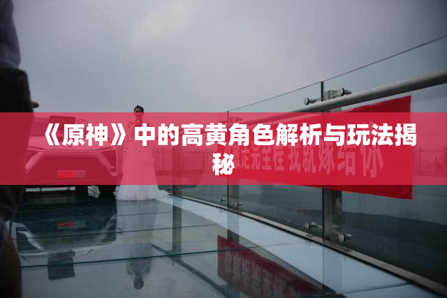 《原神》中的高黄角色解析与玩法揭秘