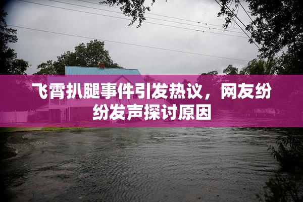 飞霄扒腿事件引发热议，网友纷纷发声探讨原因