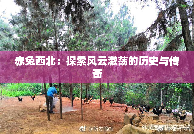 赤兔西北：探索风云激荡的历史与传奇
