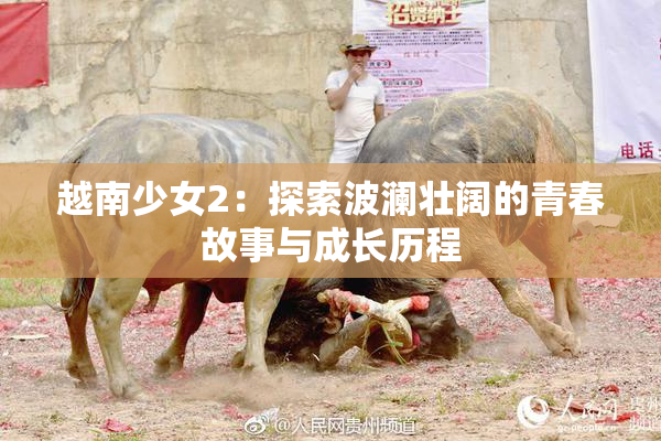 越南少女2：探索波澜壮阔的青春故事与成长历程