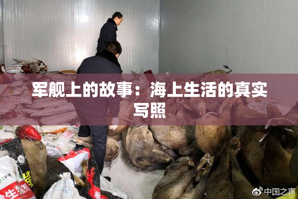 军舰上的故事：海上生活的真实写照