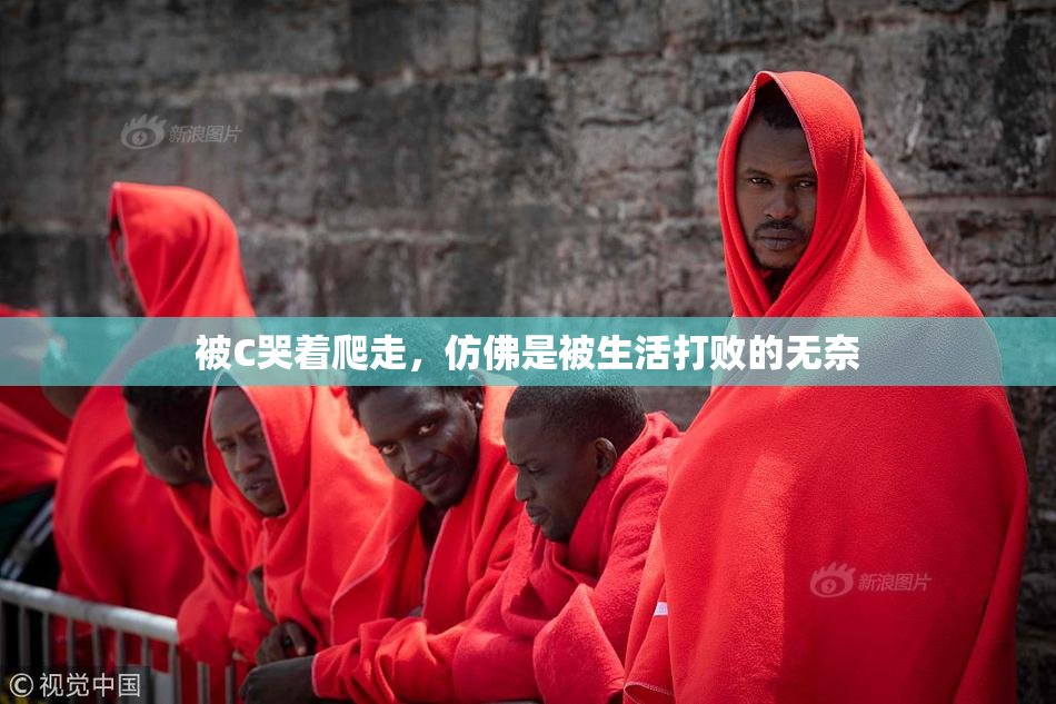 被C哭着爬走，仿佛是被生活打败的无奈