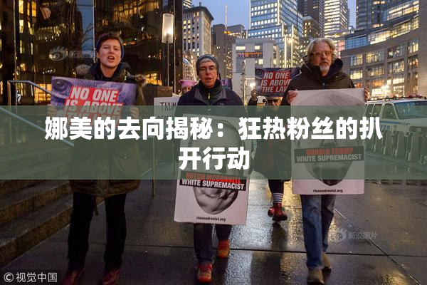 娜美的去向揭秘：狂热粉丝的扒开行动