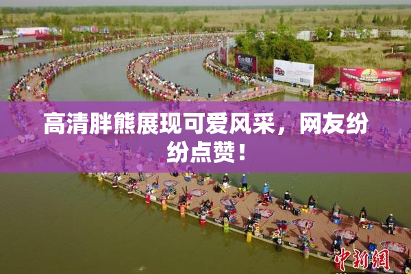 高清胖熊展现可爱风采，网友纷纷点赞！