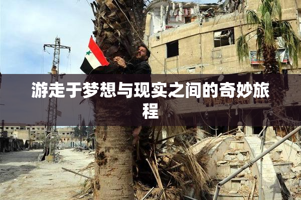 游走于梦想与现实之间的奇妙旅程