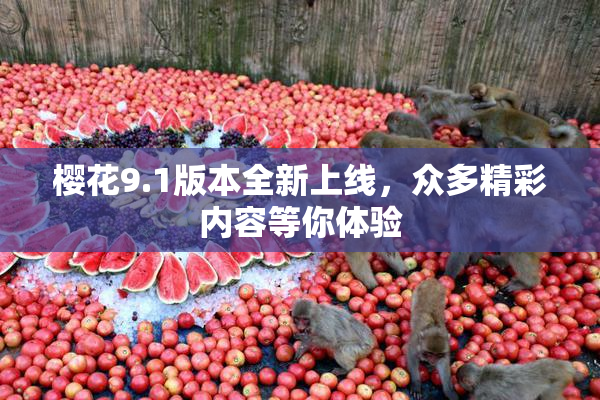 樱花9.1版本全新上线，众多精彩内容等你体验