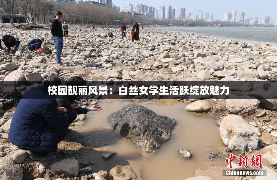 校园靓丽风景：白丝女学生活跃绽放魅力