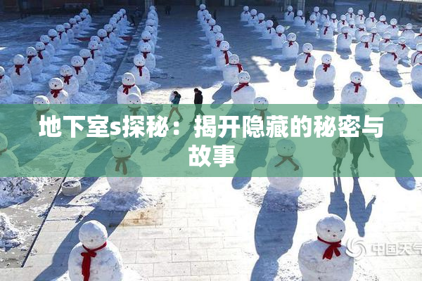 地下室s探秘：揭开隐藏的秘密与故事