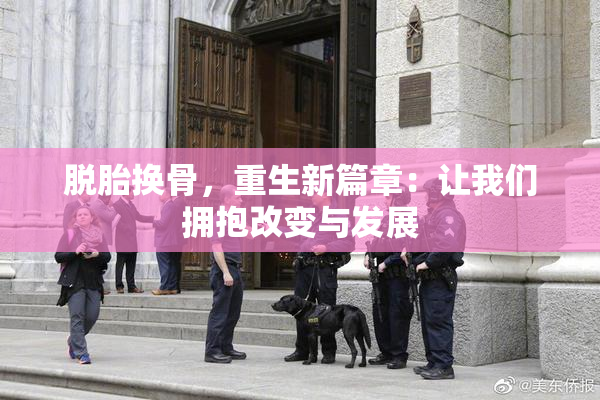 脱胎换骨，重生新篇章：让我们拥抱改变与发展