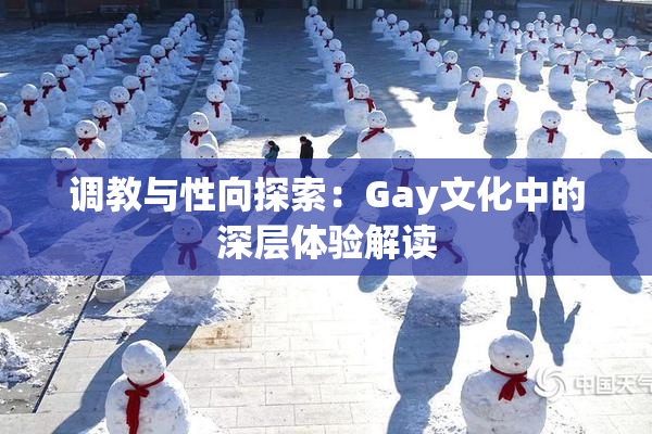 调教与性向探索：Gay文化中的深层体验解读