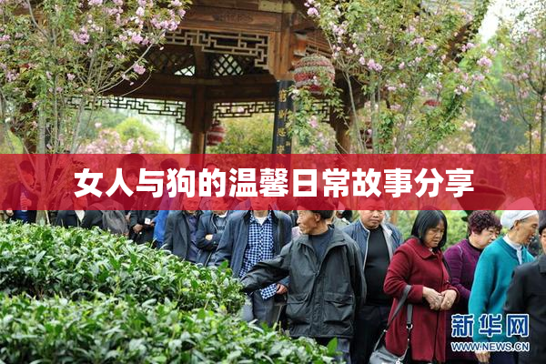 女人与狗的温馨日常故事分享