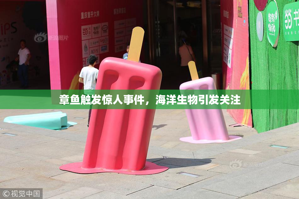 章鱼触发惊人事件，海洋生物引发关注
