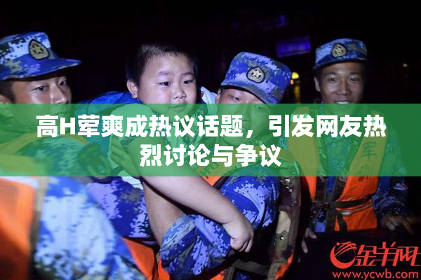 高H荤爽成热议话题，引发网友热烈讨论与争议