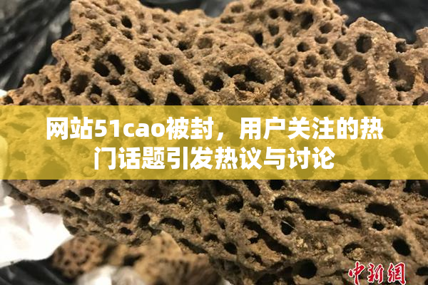 网站51cao被封，用户关注的热门话题引发热议与讨论