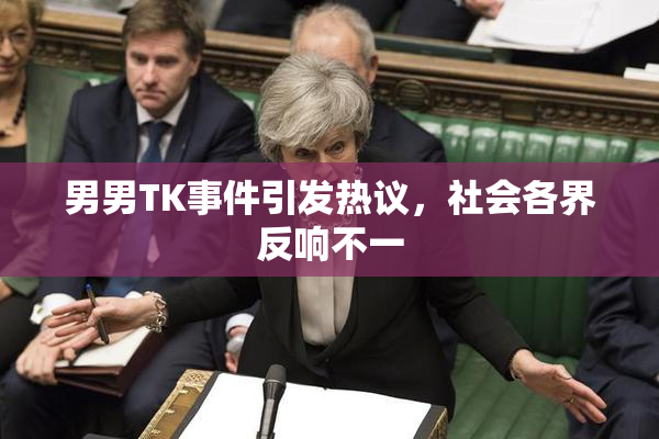 男男TK事件引发热议，社会各界反响不一