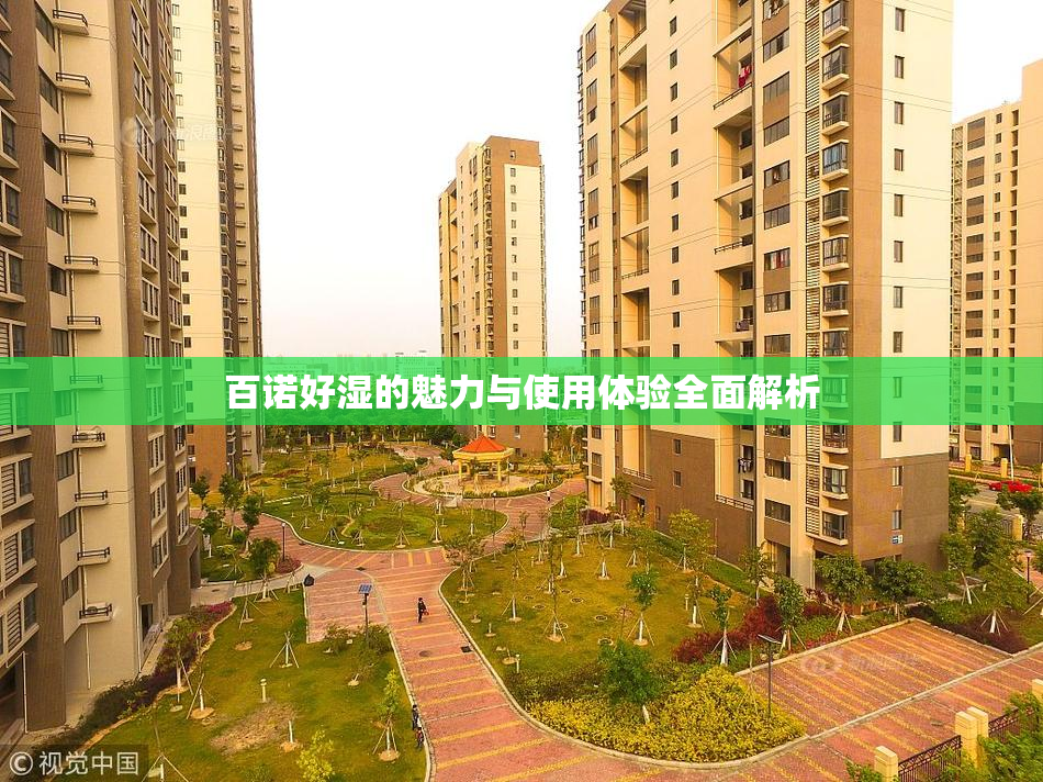 百诺好湿的魅力与使用体验全面解析