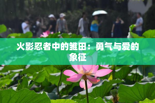 火影忍者中的雏田：勇气与爱的象征
