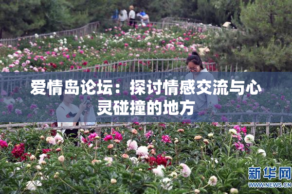 爱情岛论坛：探讨情感交流与心灵碰撞的地方