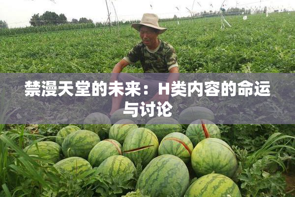 禁漫天堂的未来：H类内容的命运与讨论