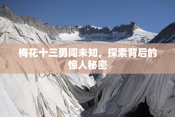 梅花十三勇闯未知，探索背后的惊人秘密
