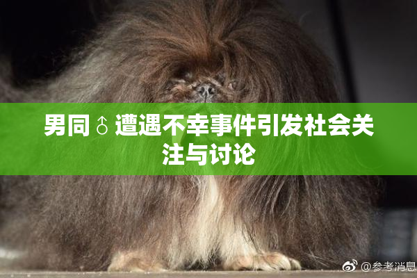 男同♂遭遇不幸事件引发社会关注与讨论