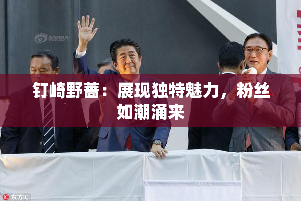 钉崎野蔷：展现独特魅力，粉丝如潮涌来
