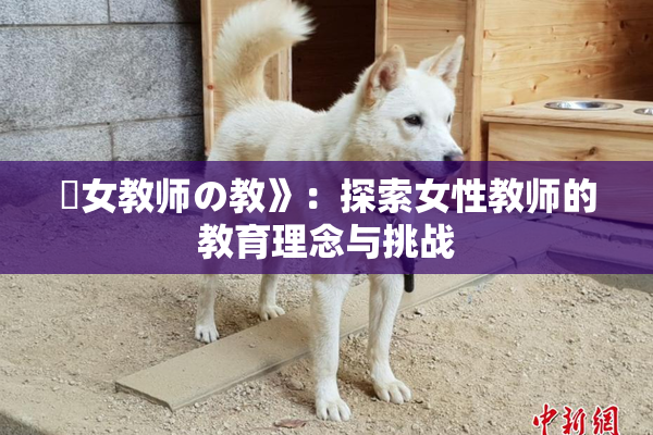 巜女教师の教》：探索女性教师的教育理念与挑战
