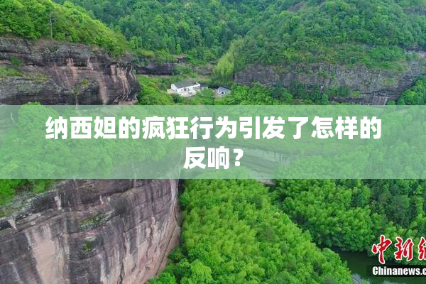 纳西妲的疯狂行为引发了怎样的反响？