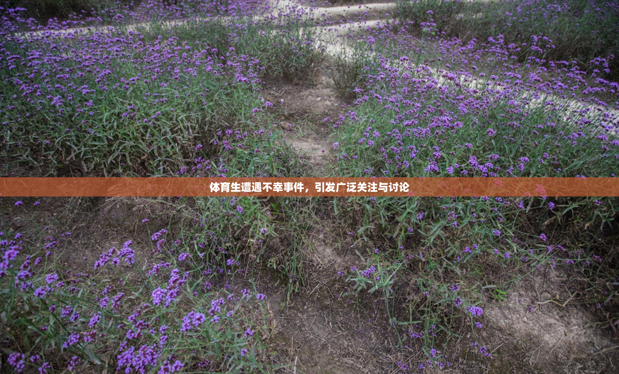 体育生遭遇不幸事件，引发广泛关注与讨论