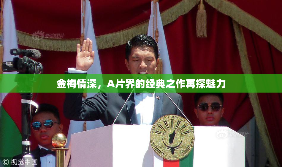金梅情深，A片界的经典之作再探魅力
