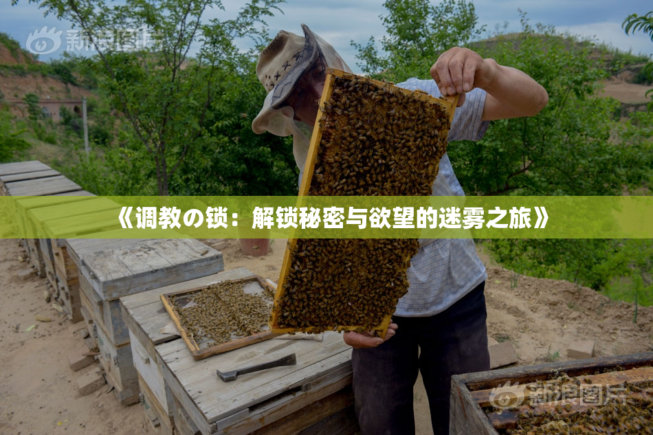 《调教の锁：解锁秘密与欲望的迷雾之旅》
