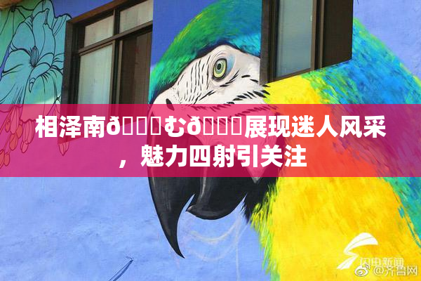 相泽南😚む🍍展现迷人风采，魅力四射引关注
