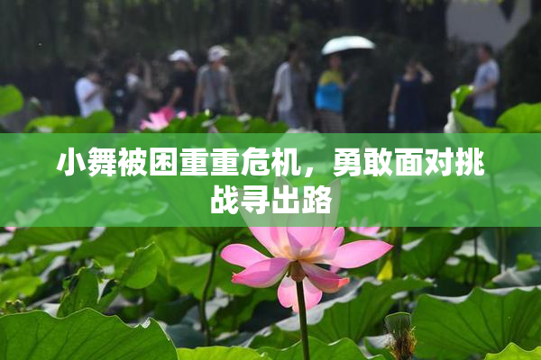小舞被困重重危机，勇敢面对挑战寻出路