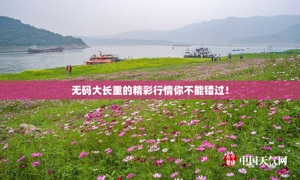 无码大长重的精彩行情你不能错过！