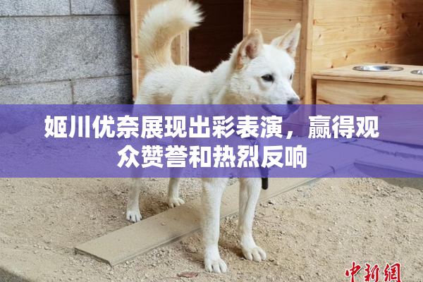 姬川优奈展现出彩表演，赢得观众赞誉和热烈反响