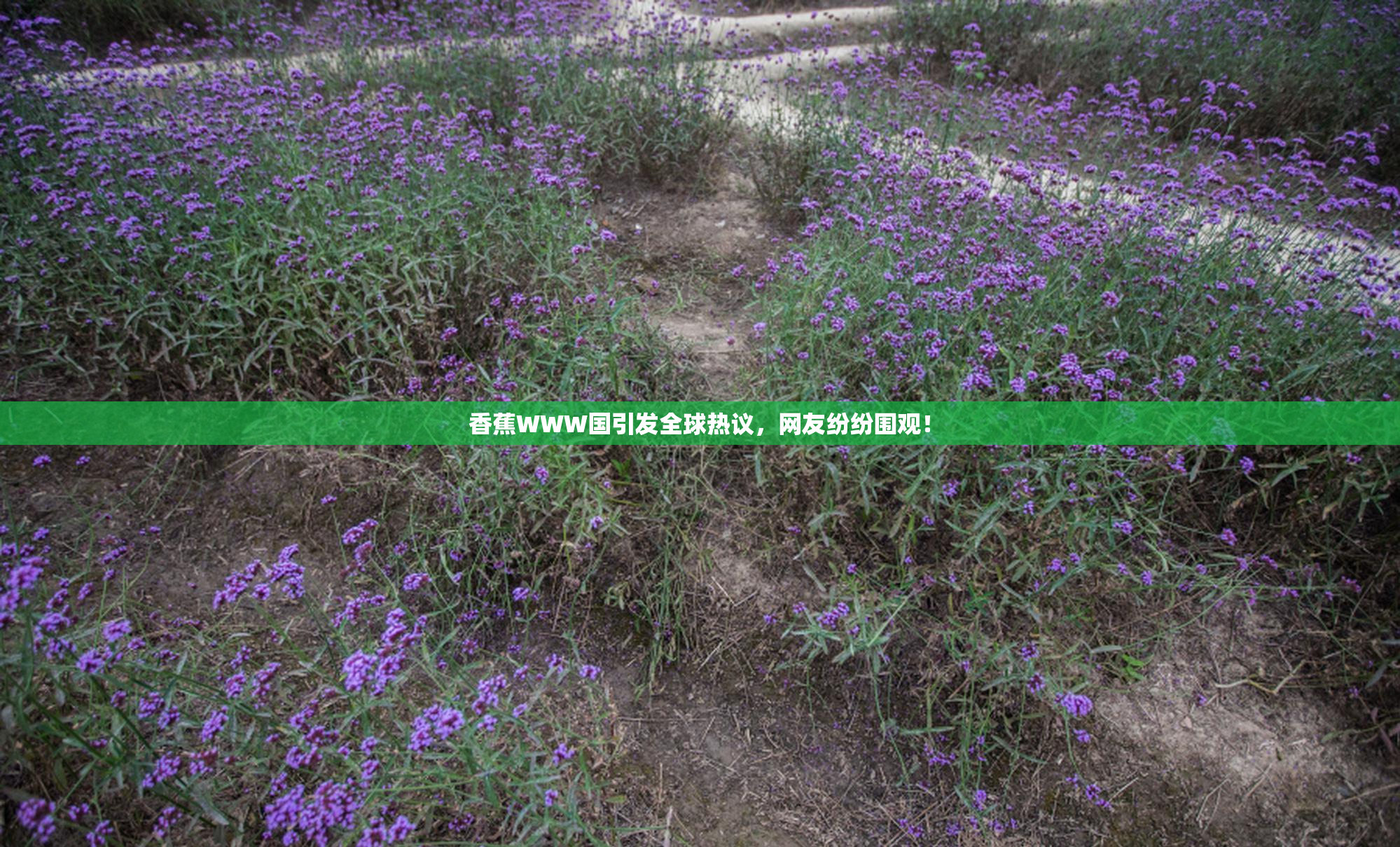 香蕉WWW国引发全球热议，网友纷纷围观！
