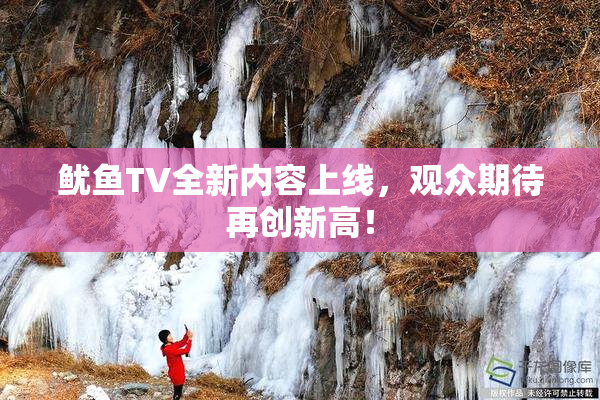 鱿鱼TV全新内容上线，观众期待再创新高！