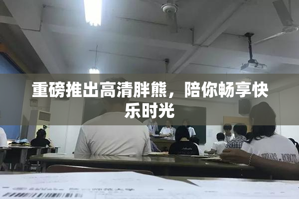 重磅推出高清胖熊，陪你畅享快乐时光