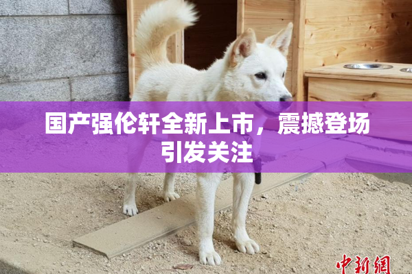 国产强伦轩全新上市，震撼登场引发关注