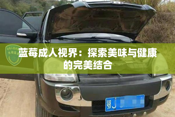 蓝莓成人视界：探索美味与健康的完美结合