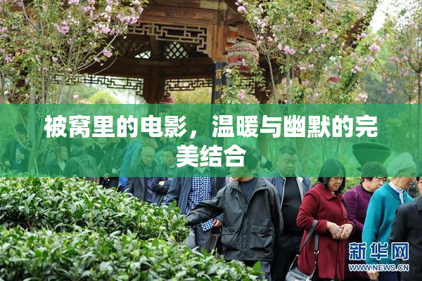 被窝里的电影，温暖与幽默的完美结合