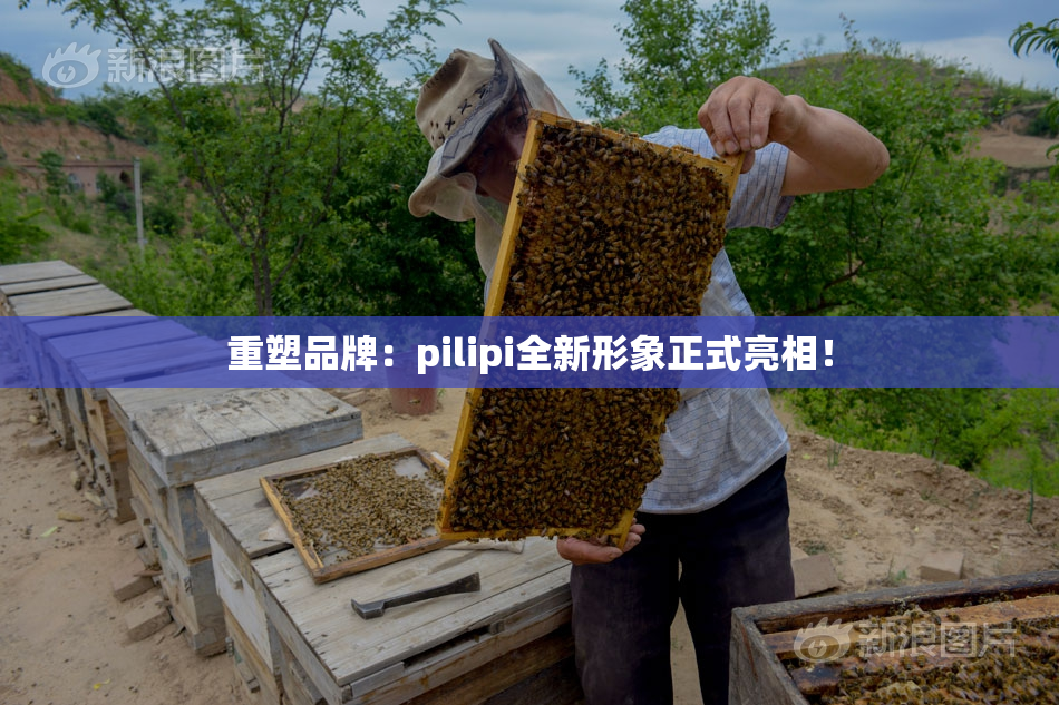 重塑品牌：pilipi全新形象正式亮相！