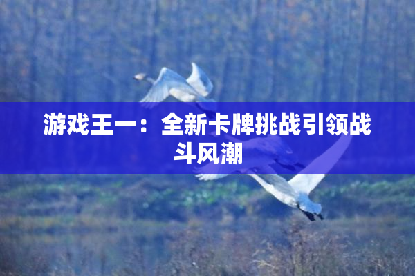 游戏王一：全新卡牌挑战引领战斗风潮